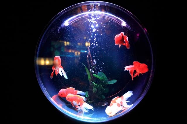 Featured article image