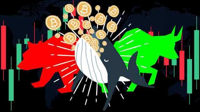 BTC Whale