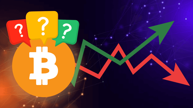 Bitcoin Price Struggles