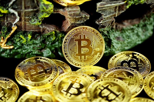 Featured article image