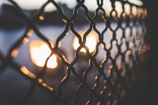 Featured article image