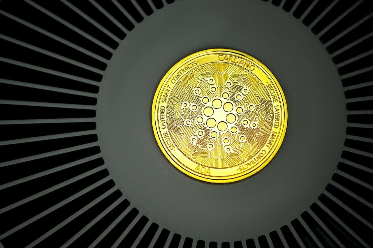 cardano news