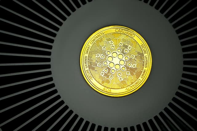 Featured article image