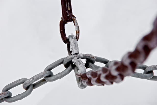 Featured article image