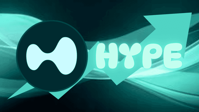 HYPERLIQUID HYPE PRICE UP