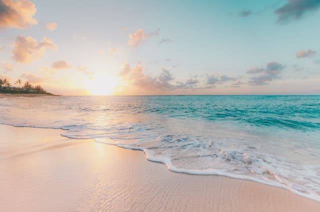 Featured article image