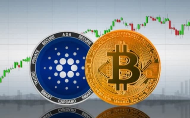 Featured article image
