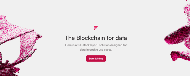 flare network