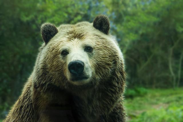 Featured article image