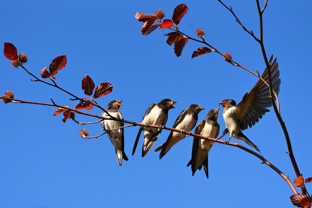 Featured article image