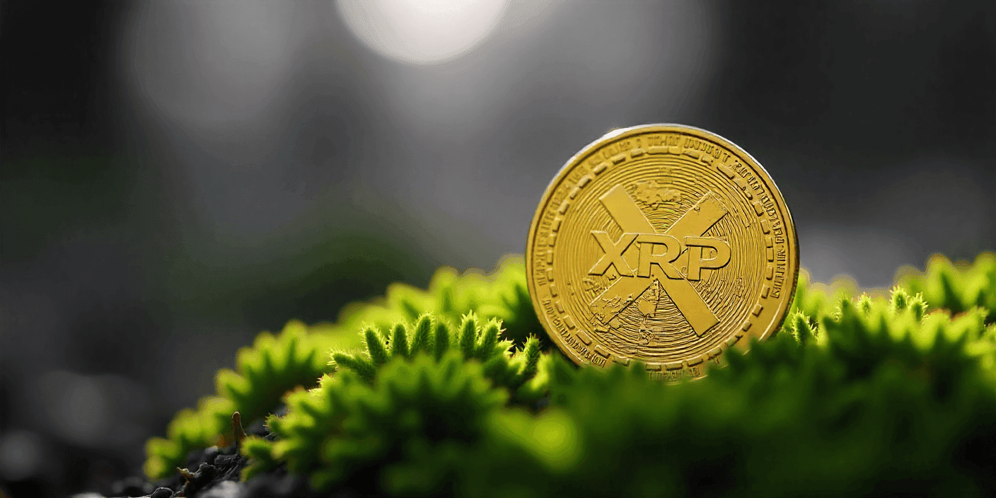 XRP News
