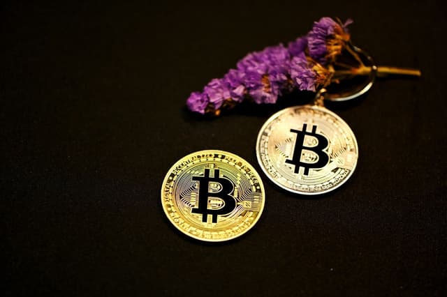 Featured article image