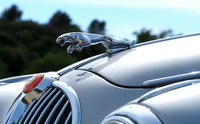 Featured article image