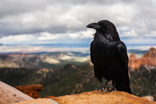 Featured article image
