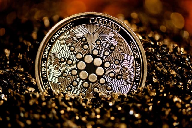 Featured article image