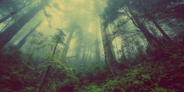 Featured article image