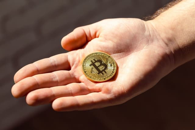 Featured article image