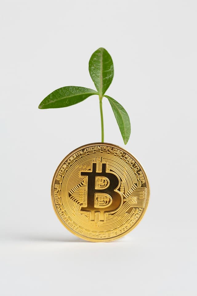 Featured article image