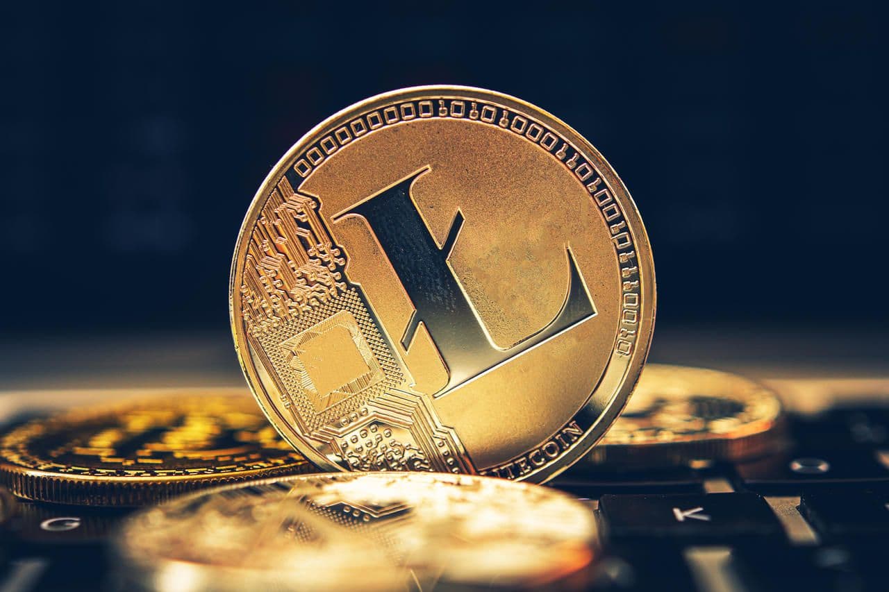 Featured image of Litecoin-Wale investieren 230 Millionen US-Dollar, während das Bitcoin Halving näher rückt