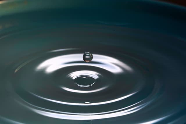Featured article image