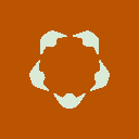 Coin Image