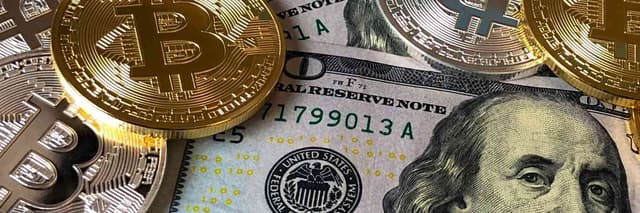 Featured article image