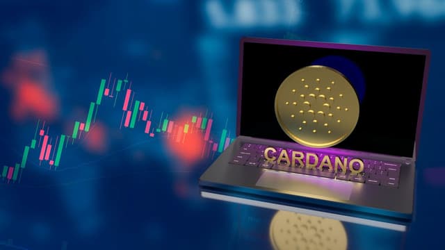 Featured article image