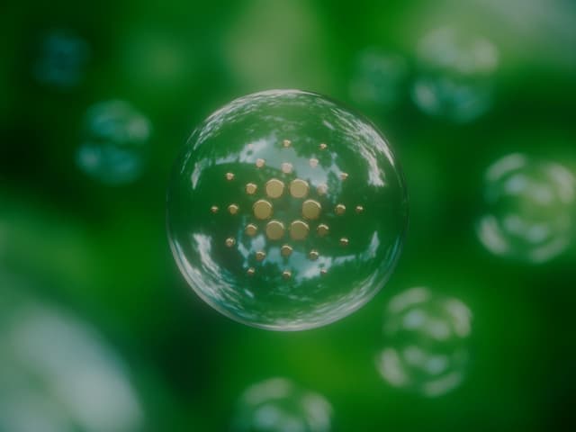 Cardano Kurs