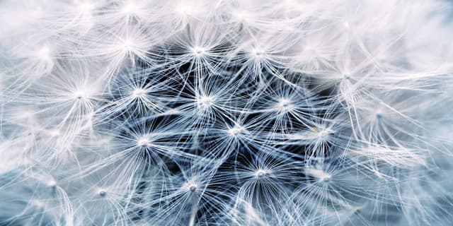 Featured article image