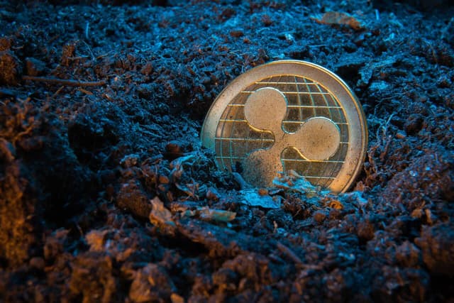 Featured article image